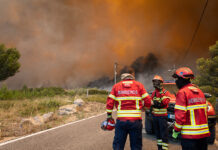 Incêndio deflagra em zona de mato em Alcabideche fogo Alcabideche