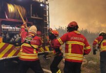 Causas do incêndio em Alcabideche ainda são desconhecidas incêndio Alcabideche