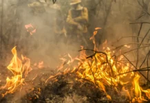 Incêndios em Alcabideche e Carcavelos controlados