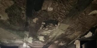 Incêndio destrói habitação camarária no Bairro da Torre