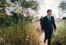 Maior parque verde do concelho vai nascer em Cascais