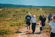 Trilho canino, a oportunidade de conhecer um novo “familiar” trilho canino