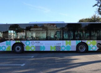 Mobi Cascais: Autocarro despista-se e fere o motorista/mecânico da empresa