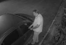 Furtos em Cascais: PSP detém suspeito de assaltos em série no Zambujal