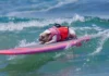 Surf Canino junta diversão e causa animal na Praia de Carcavelos
