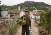 “Saloio”: uma palavra com raízes nos arredores de Lisboa