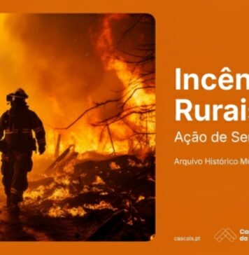 Cascais Promove Sensibilização contra Incêndios Rurais em 2026