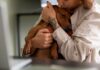 Terapia com animais melhora bem-estar em Cascais