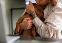 Terapia com animais melhora bem-estar em Cascais