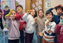 APCOI revela Dados de Nutrição das Escolas do distrito de Lisboa na 1.ª Conferência “Heróis da Fruta”
