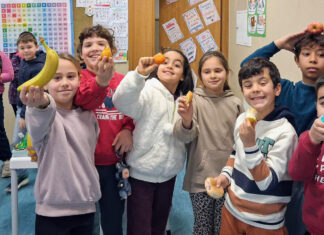 APCOI revela Dados de Nutrição das Escolas do distrito de Lisboa na 1.ª Conferência “Heróis da Fruta”
