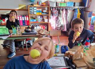 Alunos das escolas de Cascais melhoram hábitos alimentares com o projeto “Heróis da Fruta”