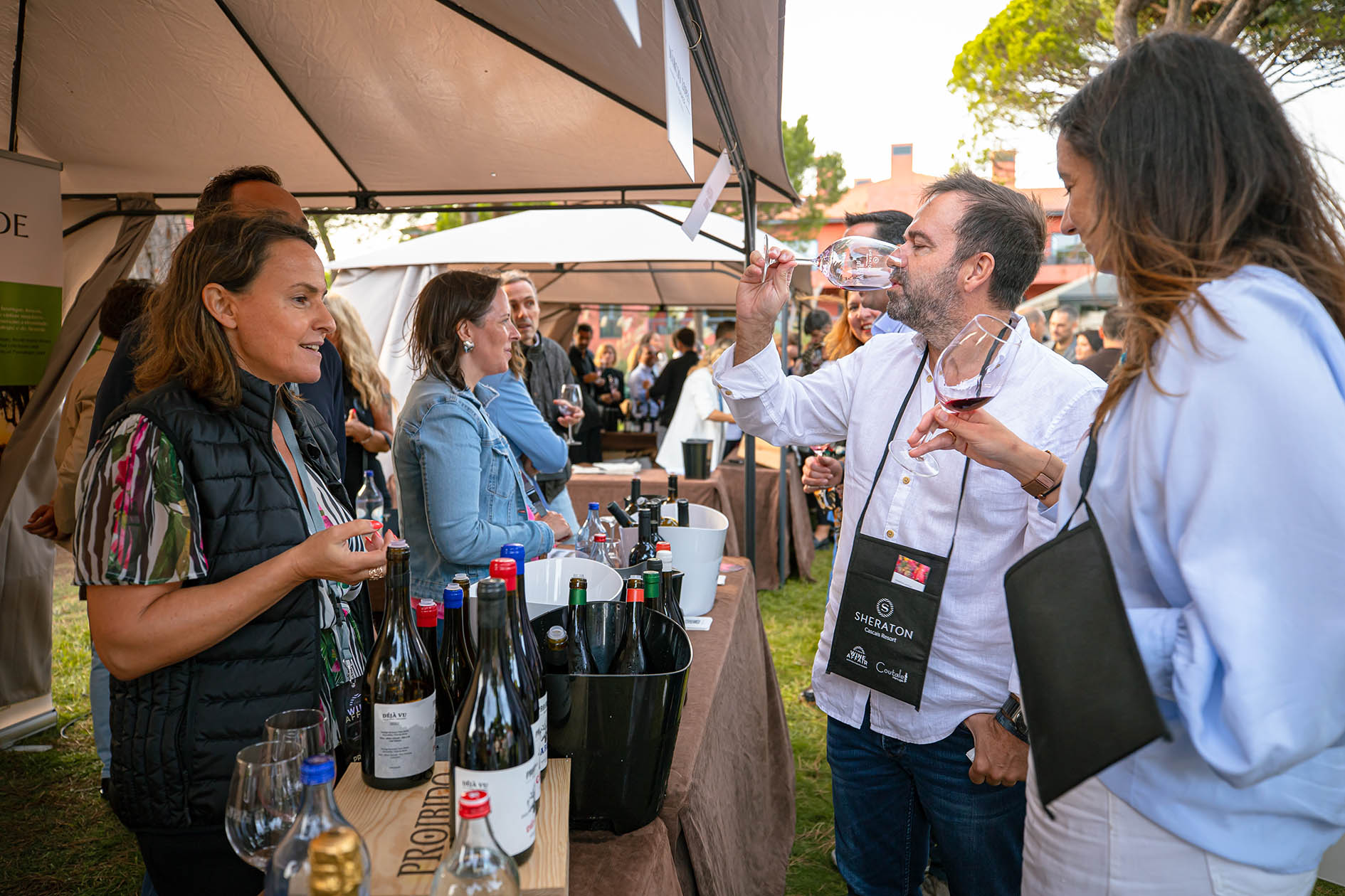 WINE AFFAIR (33) R