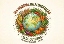 Inovar no prato para nutrir o amanhã: O desafio da alimentação na hemodiálise – Artigo de Opinião
