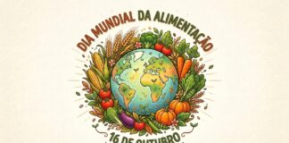 Inovar no prato para nutrir o amanhã: O desafio da alimentação na hemodiálise – Artigo de Opinião