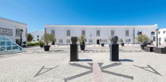 Cascais recebe feira com mais de 250 vinhos de pequenos produtores