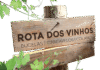 Sintra recebe prova de vinhos de Bucelas, Carcavelos e Colares
