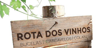 Sintra recebe prova de vinhos de Bucelas, Carcavelos e Colares