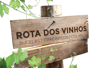 Sintra recebe prova de vinhos de Bucelas, Carcavelos e Colares
