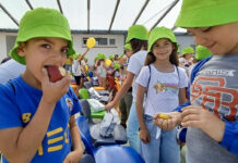 Heróis da Fruta desafia autarquias a promover alimentação saudável nas escolas